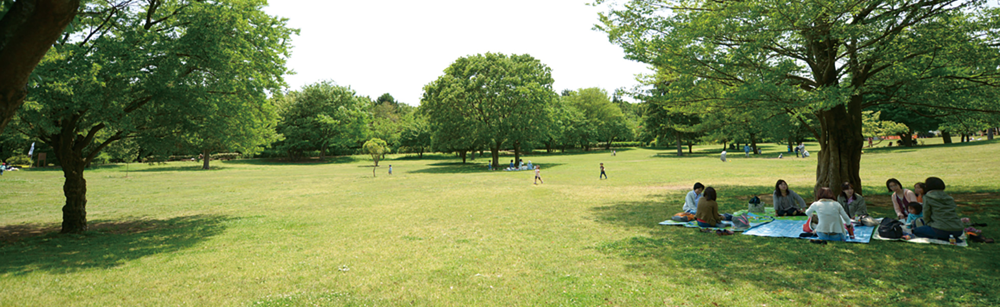 武蔵国分寺公園