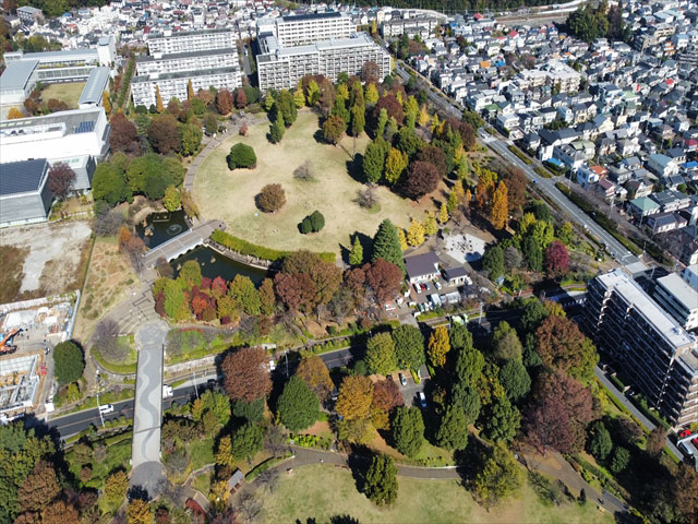 公園の見どころ